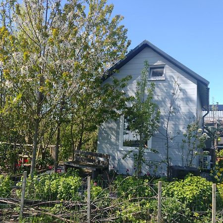 אלמיר Tuinhuisje In Het Groen מראה חיצוני תמונה