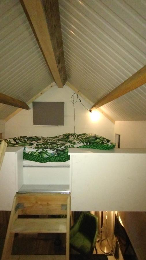 אלמיר Tuinhuisje In Het Groen מראה חיצוני תמונה