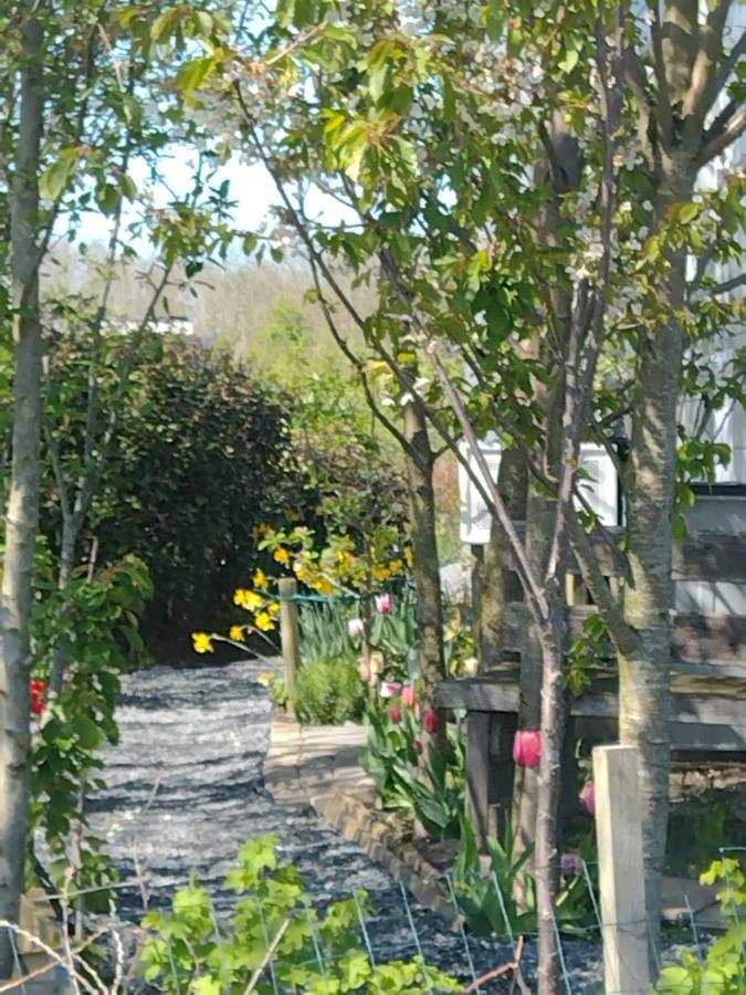 אלמיר Tuinhuisje In Het Groen מראה חיצוני תמונה