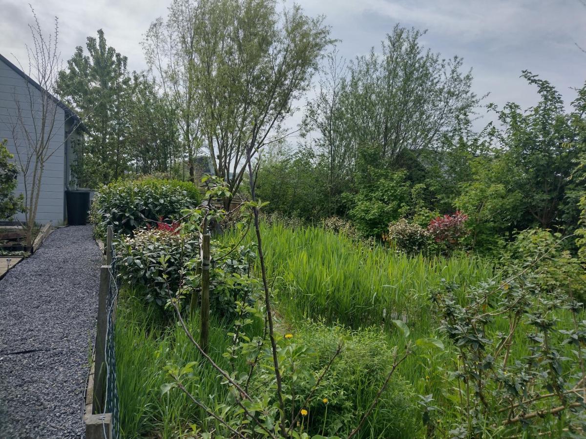 אלמיר Tuinhuisje In Het Groen מראה חיצוני תמונה