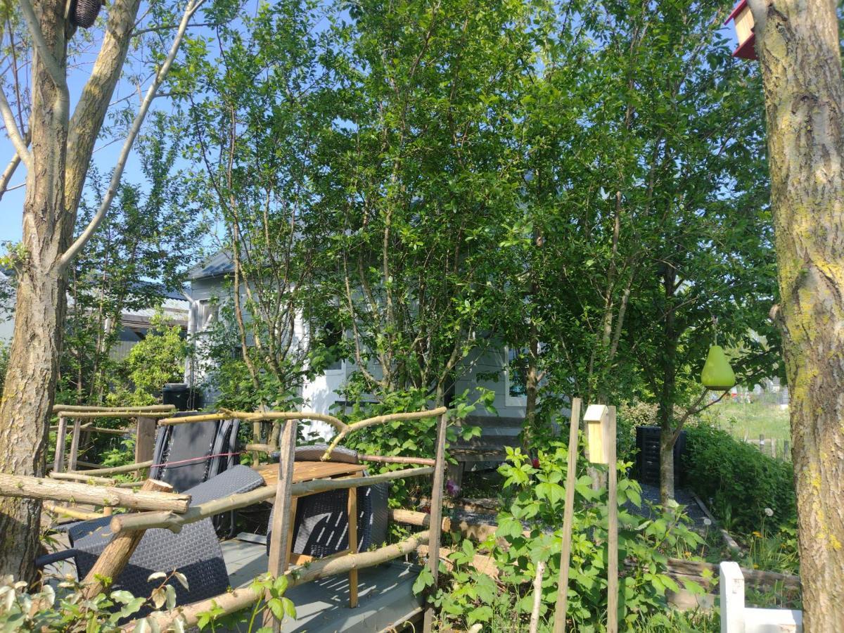 אלמיר Tuinhuisje In Het Groen מראה חיצוני תמונה