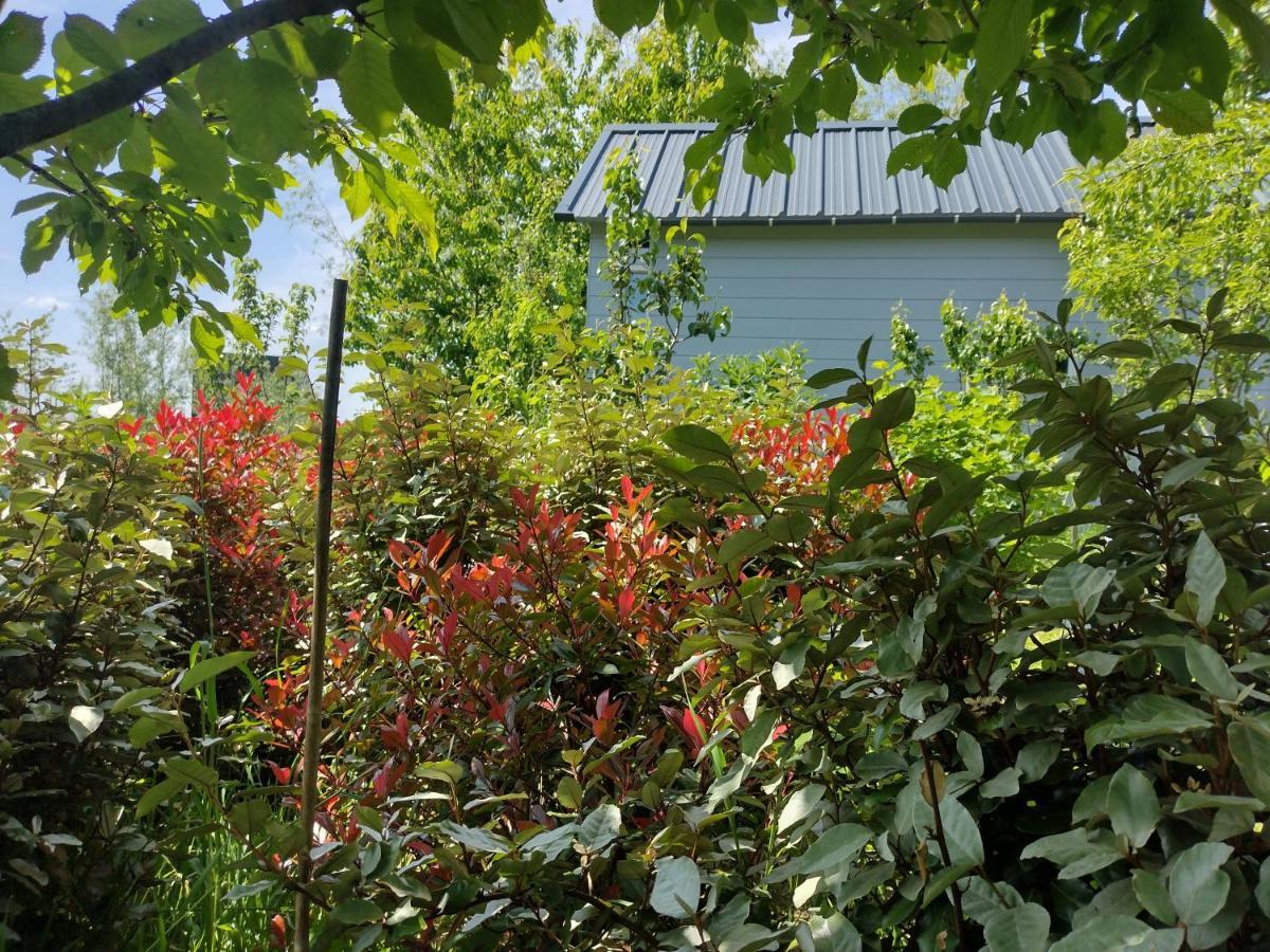 אלמיר Tuinhuisje In Het Groen מראה חיצוני תמונה