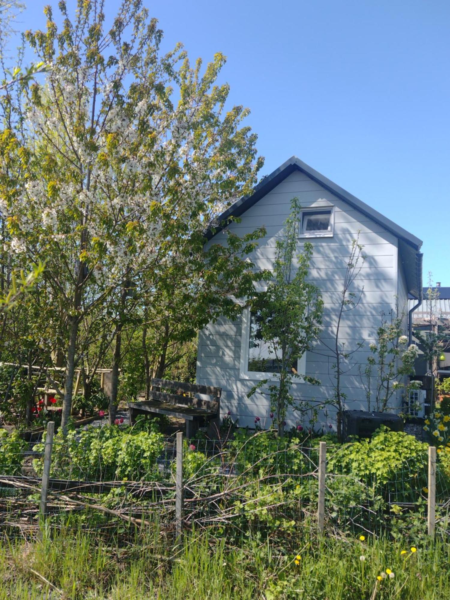 אלמיר Tuinhuisje In Het Groen מראה חיצוני תמונה
